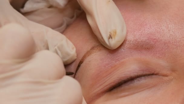 Améliorer la forme des sourcils dans un salon de beauté vue rapprochée. Microblading, maquillage permanent, maquillage permanent, pulvérisation de poudre — Video