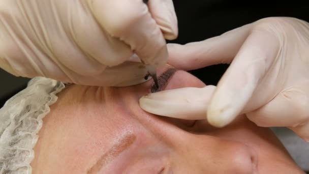 Förbättra och korrigera formen på ögonbrynen i skönhetssalongen. En modern metod för ögonbrynskorrigering med pudersprutning. Mikroblades, ögonbrynstatuering, Permanent makeup — Stockvideo