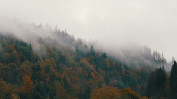 Ordinary Carpathian village in Ukraine. Thick fog over the top of Carpathian autumn mountains in colorful foliage in October. — Stock Video