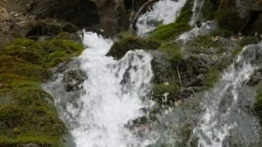 Karpat dağlarında yeşil yosun taşları. Muhteşem dağ şelalesi büyük gri kayaların yakınına düşüyor.