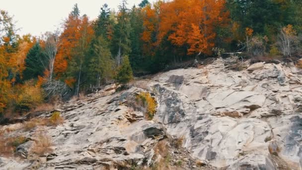 Hegyi talaj fehér sziklákkal, melyeken őszi fák nőnek különböző lombozatokkal. Kárpátok hegyek Ukrajnában — Stock videók
