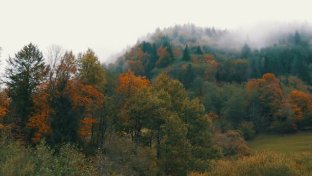 Звичайне Карпатське село в Україні. Густий туман над вершиною Карпатських осінніх гір у барвистому листі в жовтні.. — стокове відео