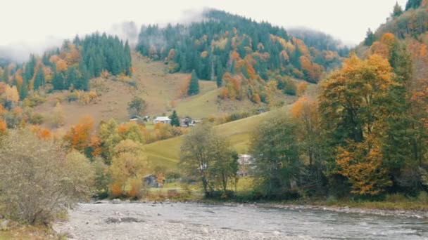Quick, cold mountain stream Cheremosh in the Carpathian mountains on the background of rocky shore. Early autumn foggy morning in mountain village of Dzembronya — Stock Video