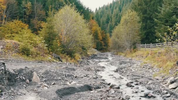 카르파티아 산맥에 있는 빠르고 차가운 산속의 셰레 모쉬 강 — 비디오