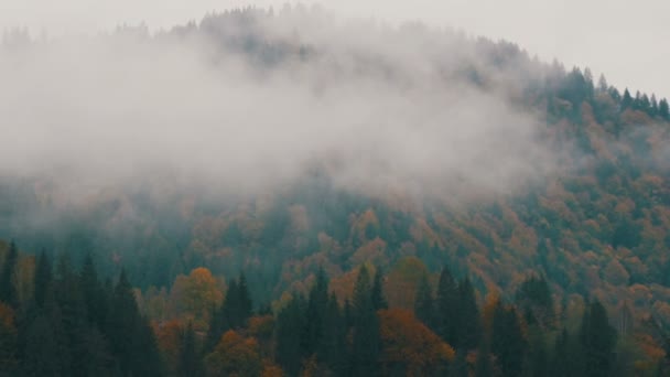 Village ordinaire des Carpates en Ukraine. Brouillard épais sur le sommet des montagnes d'automne des Carpates dans un feuillage coloré en octobre . — Video