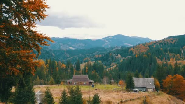 Karpaten bergen en een klein huisje in de bergen op sombere herfstdag. Kleurrijke herfstbladeren — Stockvideo