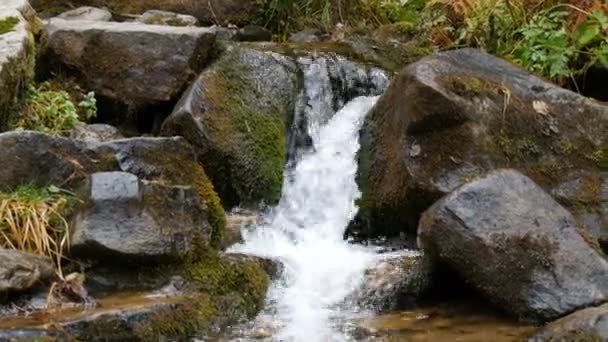 Grandes pierres noires massives sur lesquelles l'eau coule du ruisseau transparent de montagne — Video