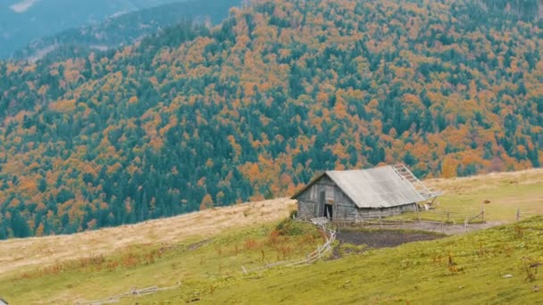 Altes verlassenes Holzhaus für Hirten vor dem Hintergrund der malerischen Karpaten im Herbst. Verlassenes Gebäude in schlechtem Zustand — Stockvideo