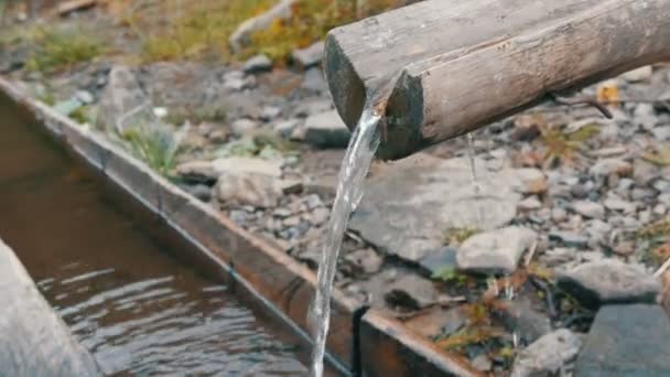 A clean, transparent mountain water stream that flows down wooden gutter close up view — Stock Video