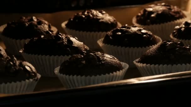 Läckra chokladmuffins tillagas i ugnen. Chokladmuffins i pappersform bestänkta med chokladpulver i form av kuber — Stockvideo