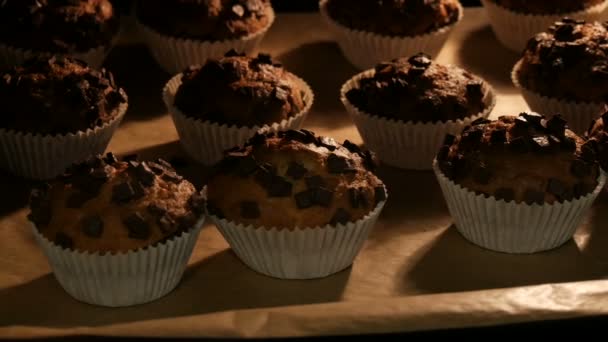 Delicious muffins in paper molds are cooked in oven close up view — Stock Video