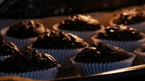 Deliciosos queques de chocolate são cozidos no forno. Muffins de chocolate em moldes de papel polvilhados com pó de chocolate em forma de cubos — Vídeo de Stock