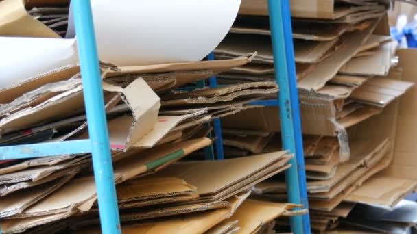 Caixas de papelão dobradas para processamento posterior. Classificação de lixo, proteção ambiental — Vídeo de Stock