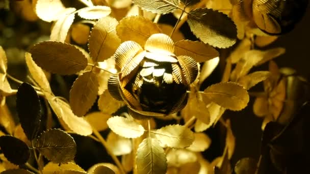 Eine echte große Rose, geschmiedet aus Gold, ein wertvolles Geschenk für die königliche Familie. Wiener Schatzkammer — Stockvideo