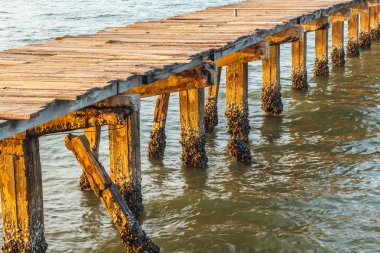 Manzara ormanlık köprü pier