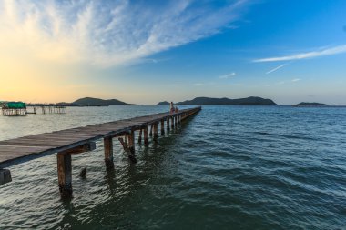 Manzara ormanlık köprü pier