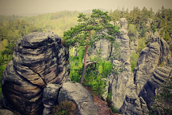 sandstone rocks in czech republic