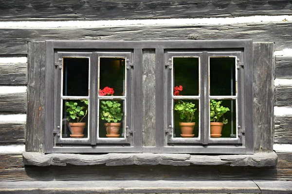 花と古い木製窓 — ストック写真