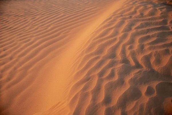 Wüste Sahara in Marokko — Stockfoto