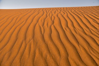 Fas 'ta Sahra Çölü