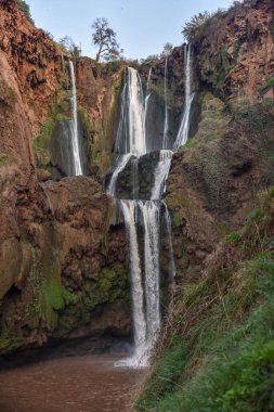 Makak maymunlar ouzoud watterfall yakınlarında.