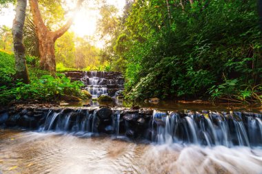 Arka plandaki küçük kanal barajının uzun pozlu görüntüsü güneş ışığı ve yağmur ormanı. Doğa manzarası kavramı