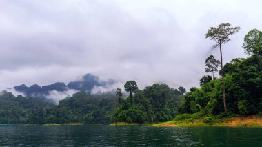 Tayland 'ın güneyindeki gölde tropik yağmur ormanları. Yağmurdan sonra dağları sisli kaplıyor..
