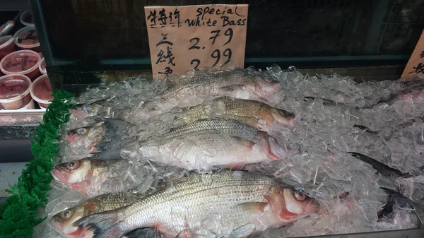 Peixe, robalo branco, na pilha com gelo para vender com etiquetas em chinês e inglês — Fotografia de Stock