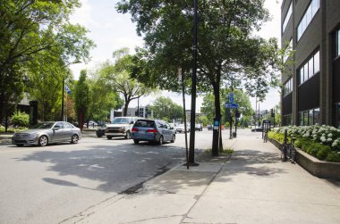 Genel güneşli yeşil yaz aylarında Montreal'de sokak. Otomobil, motosiklet, ağaçlar ve trafik işaretleri