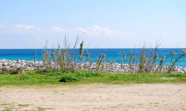 Вид на райский пляж с берега моря и некоторые растения — стоковое фото