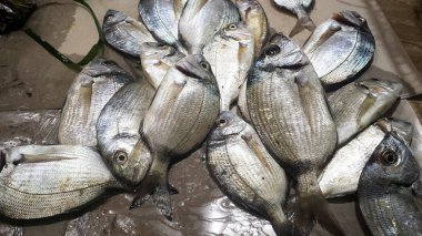 İtalya bir markette taze orata