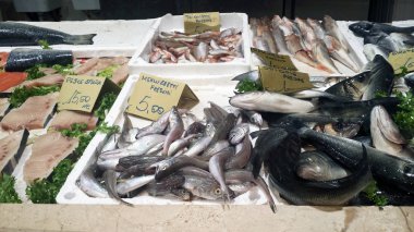 Geleneksel balık piyasa ahır taze orata, deniz levreği, kırmızı kırlangıç, kılıç balığı dilim ve morina balığı tam İtalyanca Mercato di San Benedetto adlı etiketlerle