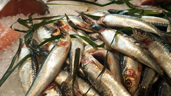 Sardinas frescas en un mercado en Italia —  Fotos de Stock