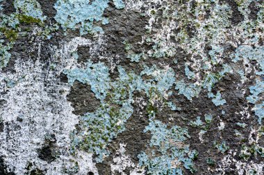 Çok renkli vintage grunge doku eski dekoratif taş duvar