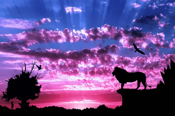 Джунглі з горами, старе дерево, пташиний лев і сурикат на фіолетовому хмарному фоні заходу сонця — стокове фото