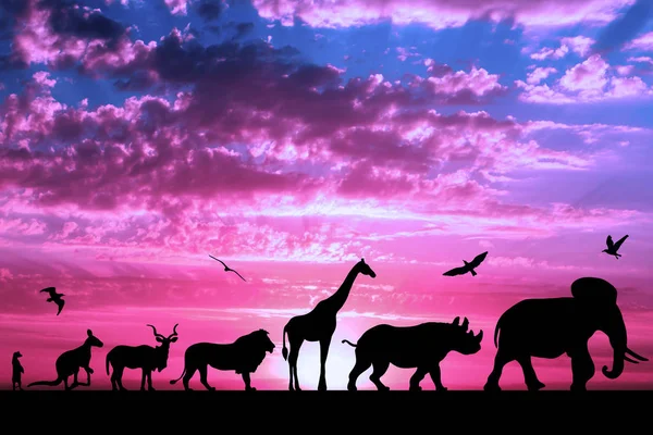 Silhouettes of animals on purple cloudy sunset background — Stock Photo, Image