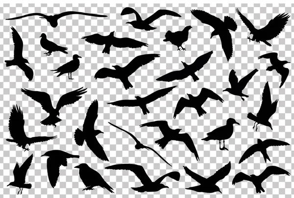 Conjunto de siluetas de aves aisladas. Ilustración vectorial — Vector de stock