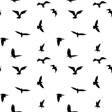 Kuş silhouettes beyaz arka plan üzerinde uçan seamless modeli
