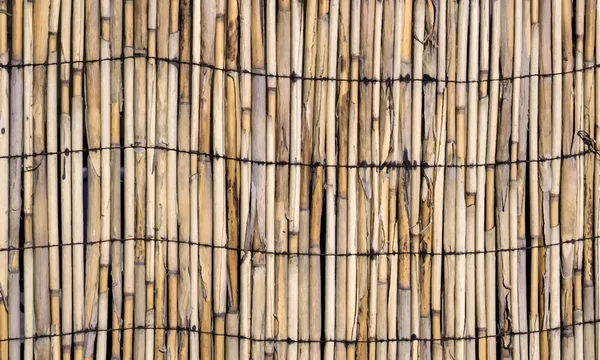 Textura Parede Bambu Ligado — Fotografia de Stock