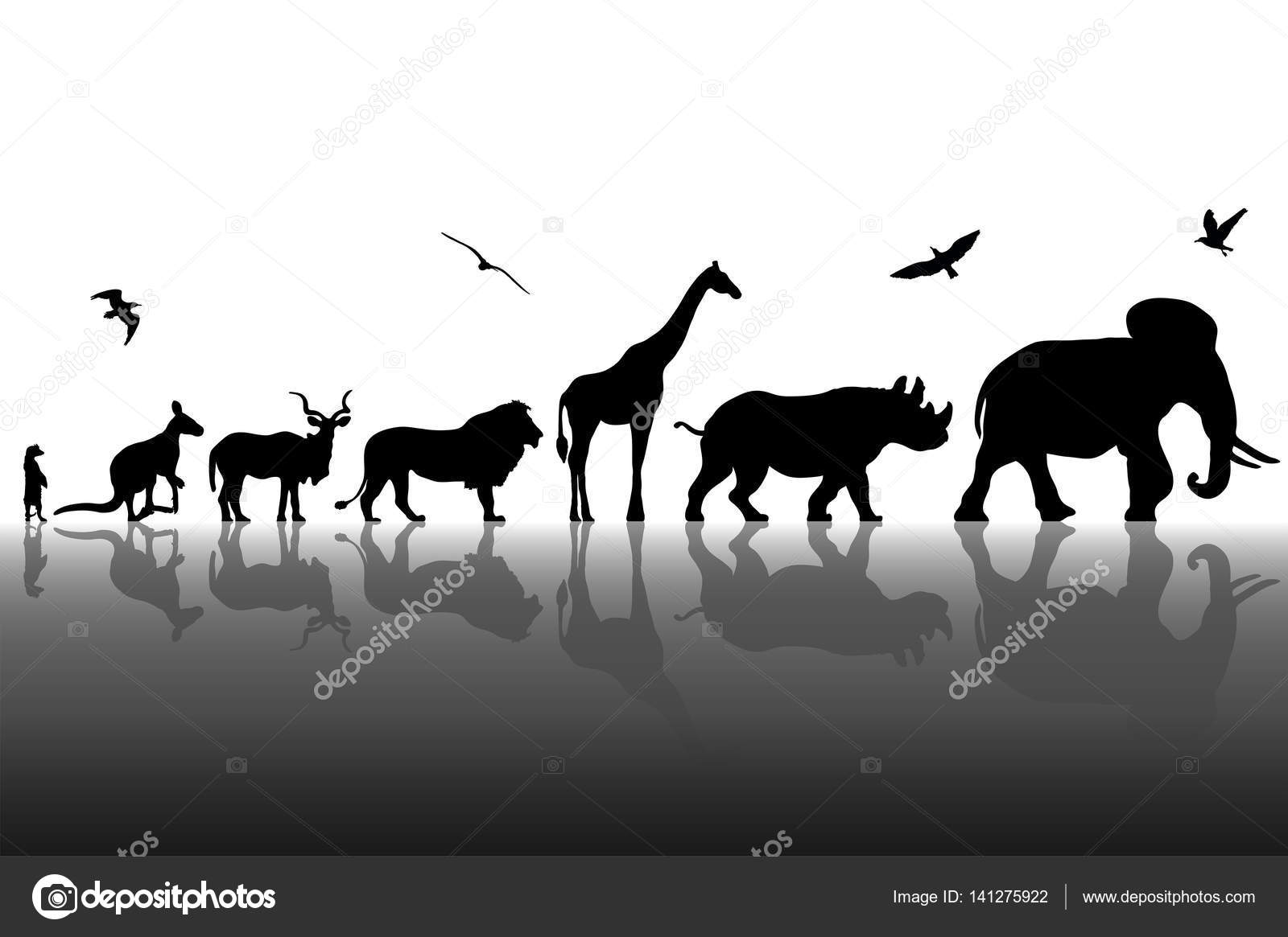 Wild animal collage Stock Photos, Royalty Free Wild animal collage Images | Depositphotos Wild animal collage Stock Photos, Royalty Free Wild animal collage Images | Depositphotos