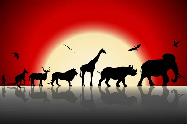 Silhouettes of wild animals on red sunset background — Stock Photo, Image