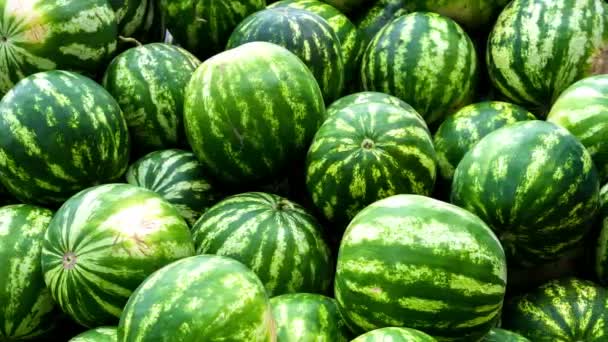 Högen av gröna vattenmeloner i slow motion 4k — Stockvideo