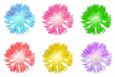 Paketi üzerinde beyaz izole renkli Peygamber Çiçeği çiçek