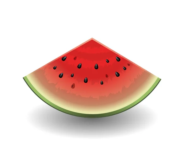 Realistic watermelon slice isolated on white. Vector illustration — Stock Vector