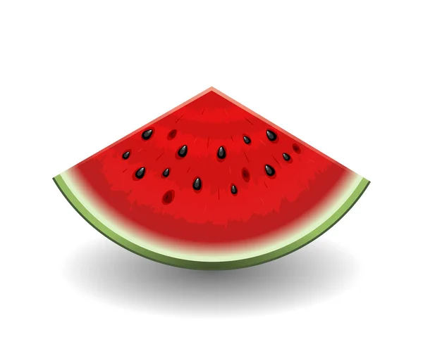 Realistiska vattenmelon bit isolerade på vitt. Vektorillustration — Stock vektor