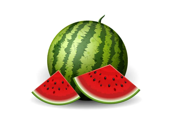 Realistische Wassermelone mit Scheiben isoliert auf weiß. Vektorillustration — Stockvektor
