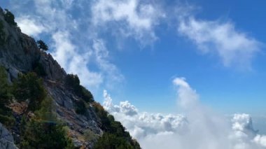Yaz panoramik dağ manzarası