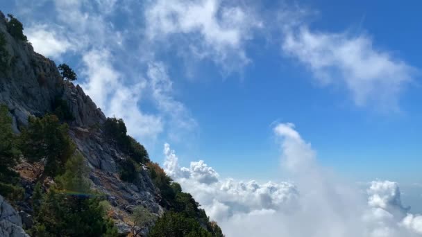 Letní panoramatický pohled na hory záběry — Stock video