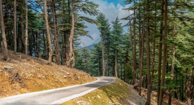 Orman dağlarında yol. Zor yol konsepti. İskoçya