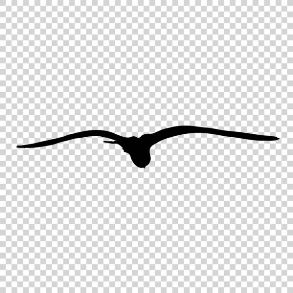 Pájaro detallado silueta negra aislado — Vector de stock
